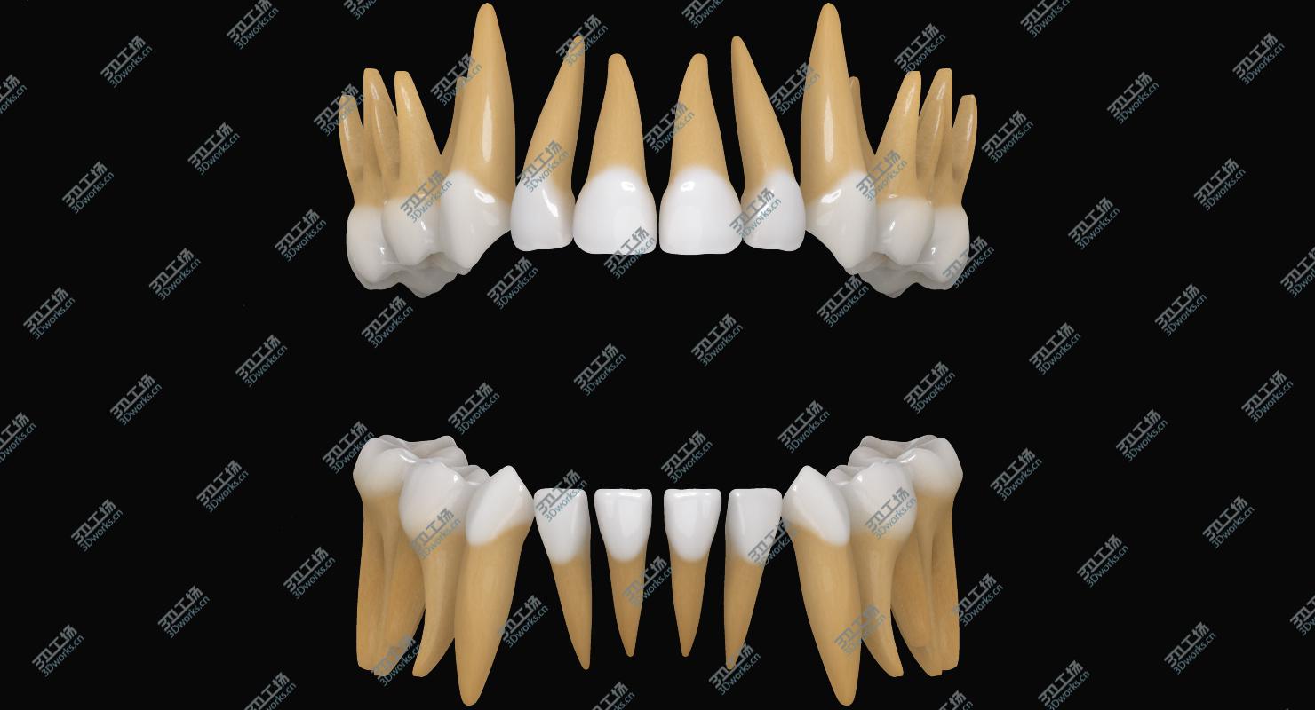 images/goods_img/2021040163/Primary Teeth/3.jpg